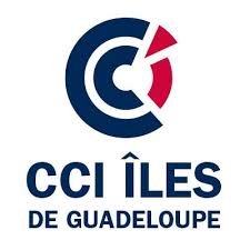 CCI de Guadeloupe — client Goformia